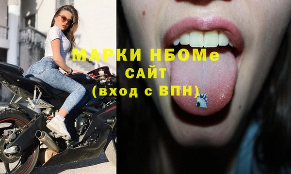 стафф Новодвинск