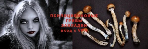 a pvp Абаза
