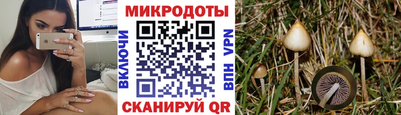 Псилоцибиновые грибы мухоморы MEGA ССЫЛКА Староминская